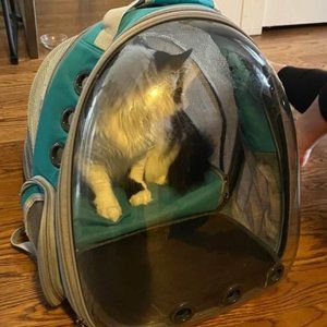 Animal space bookbag